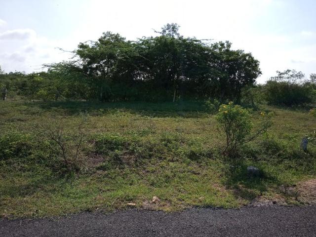 Residential Plot in Chilkur for resale Hyderabad. The reference number is 6584072