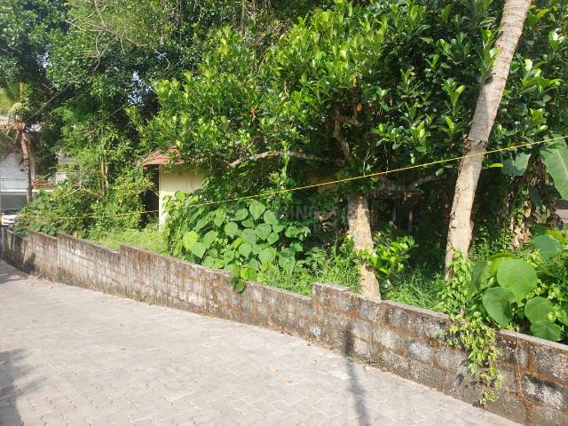 Residential Plot in Chottanikkara for resale Kochi. The reference number is 17188464
