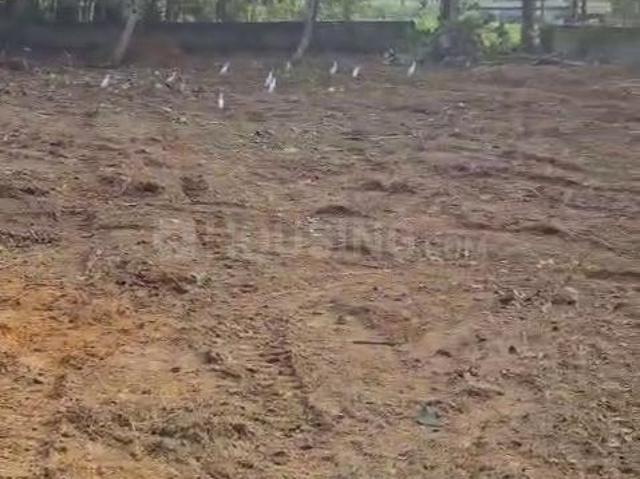 Residential Plot in Chottanikkara for resale Kochi. The reference number is 20737390