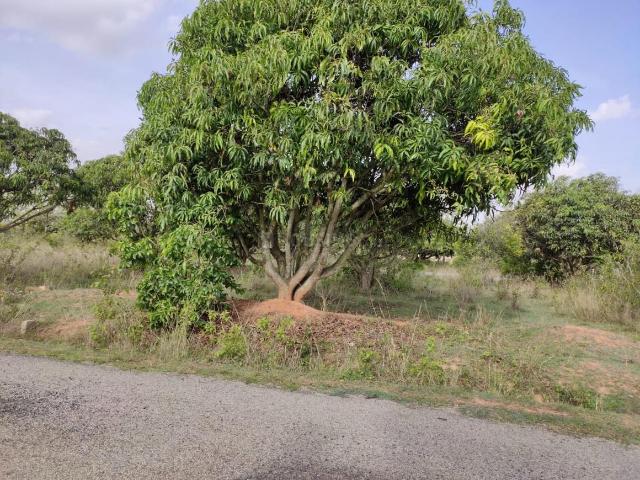 Residential Plot in Chowdenahalli for resale Bengaluru. The reference number is 19583652