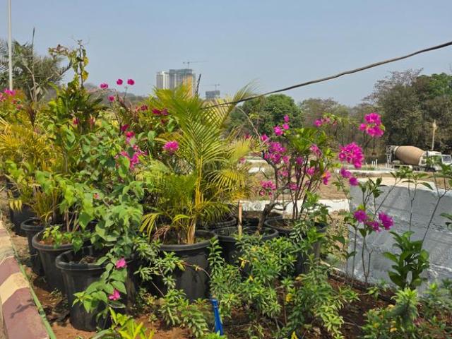 Residential Plot in Chowk for resale Navi Mumbai. The reference number is 20105382