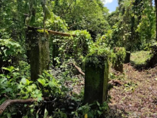 Residential Plot in Bardez for resale Goa. The reference number is 19540587