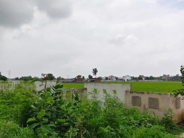 Residential Plot in County Walk Township for resale Indore. The reference number is 17871629