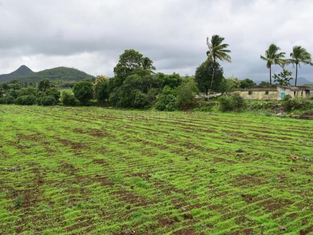 Residential Plot in Dugaon for resale Nashik. The reference number is 12583195