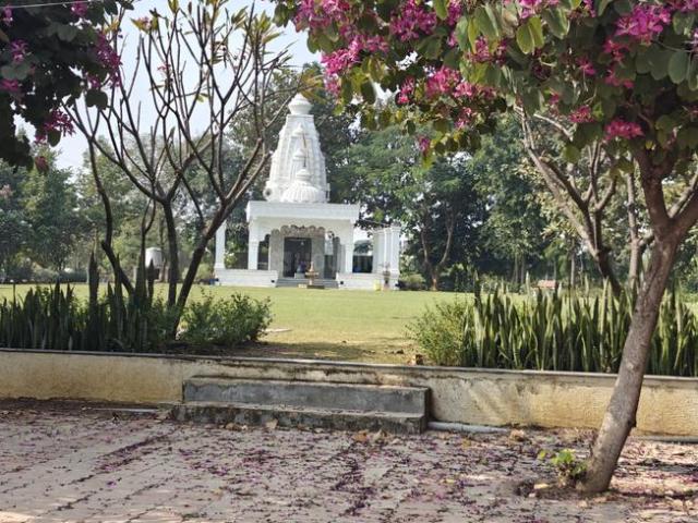 Residential Plot in Dunda for resale Raipur. The reference number is 19617660
