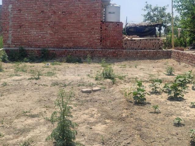 Residential Plot in Dadasiya for resale Faridabad. The reference number is 20788124