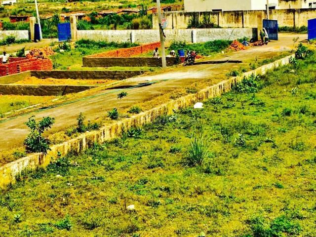 Residential Plot in Dadri for resale Greater Noida. The reference number is 18060230