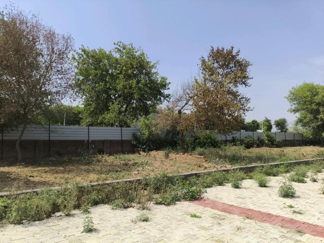 Residential Plot in Dadri for resale Greater Noida. The reference number is 20174568