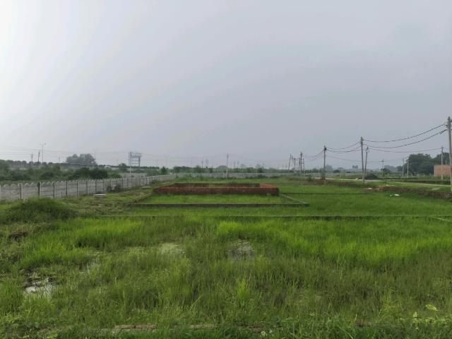 Residential Plot in Dadri for resale Greater Noida. The reference number is 20994080