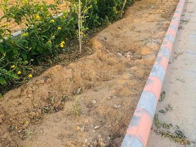 Residential Plot in Dahmi Kalan for resale Jaipur. The reference number is 20862184