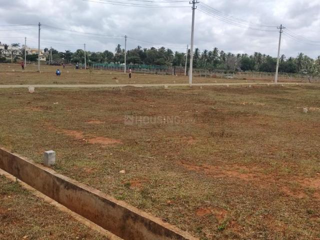 Residential Plot in Danagalli for resale Mysore. The reference number is 20948046
