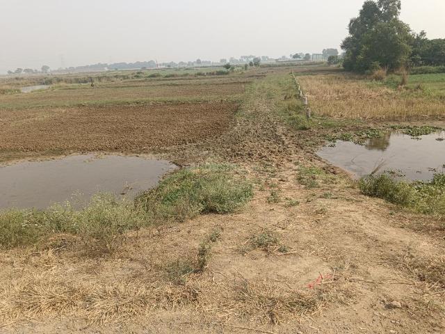 Residential Plot in Daniawan for resale Patna. The reference number is 15953111