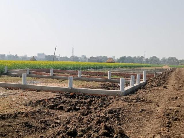 Residential Plot in Daniawan for resale Patna. The reference number is 16595967