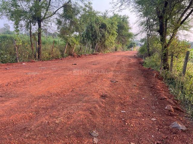 Residential Plot in Datrenga for resale Raipur. The reference number is 15416296