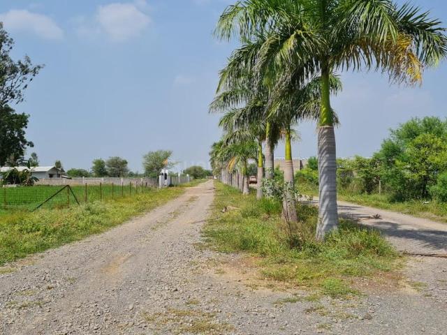 Residential Plot in Datrenga for resale Raipur. The reference number is 19095141