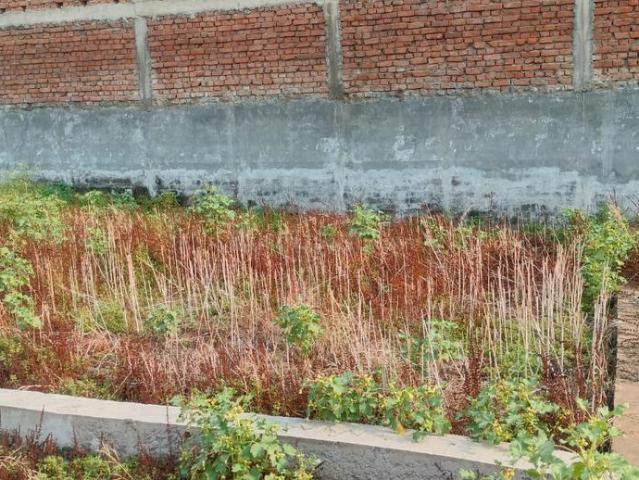 Residential Plot in Deedarganj for resale Patna. The reference number is 20172936