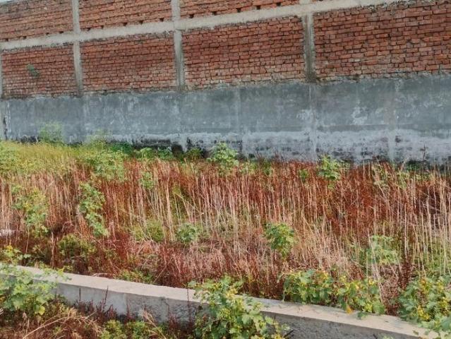 Residential Plot in Deedarganj for resale Patna. The reference number is 20131998
