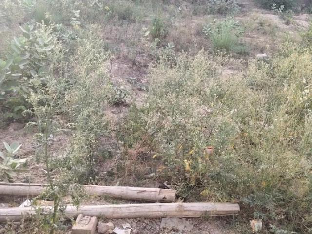 Residential Plot in Deori for resale Agra. The reference number is 20337957