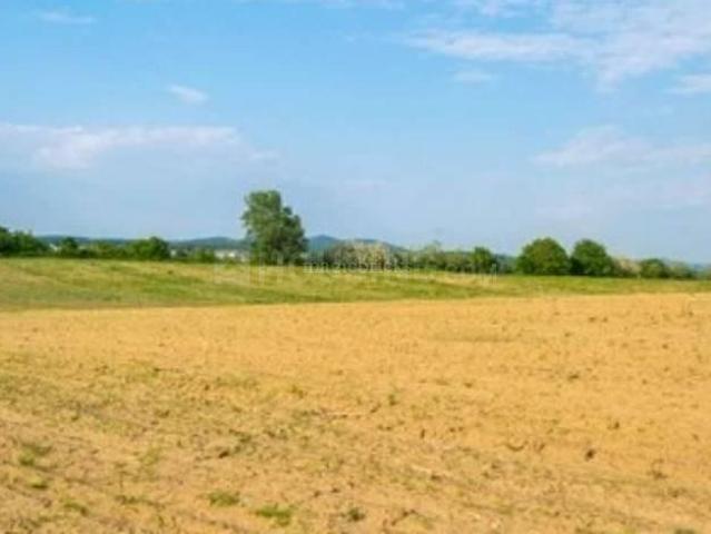 Residential Plot in Delta II for resale Greater Noida. The reference number is 19548540