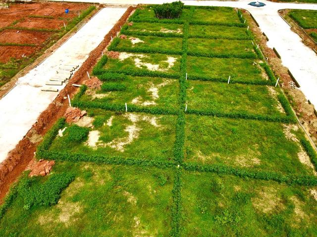 Residential Plot in Denkada for resale Vizianagaram. The reference number is 14655243