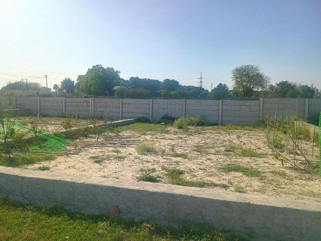 Residential Plot in Deri Skaner for resale Greater Noida. The reference number is 16800629