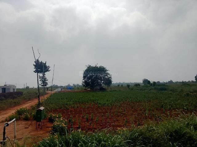 Residential Plot in Devanahalli for resale Bengaluru. The reference number is 15746164