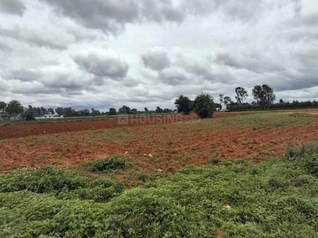 Residential Plot in Devanahalli for resale Bengaluru. The reference number is 15878009