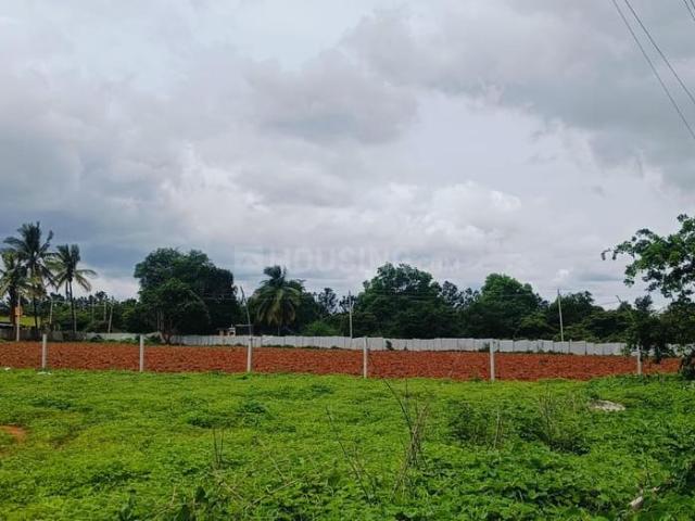 Residential Plot in Devanahalli for resale Bengaluru. The reference number is 16580864