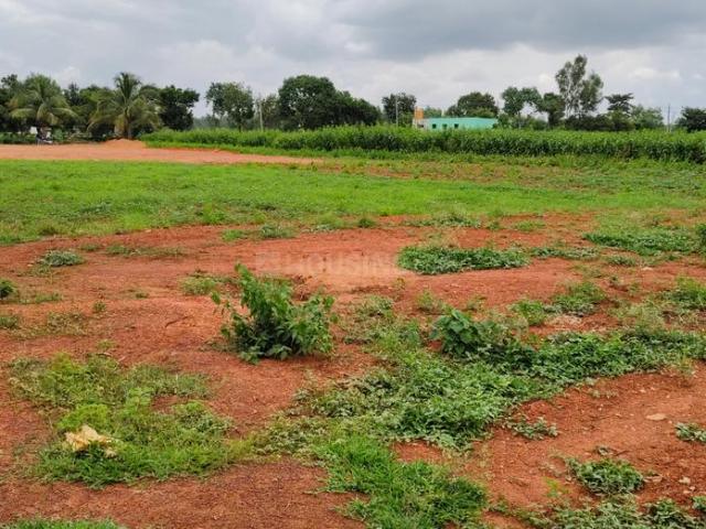 Residential Plot in Devanahalli for resale Bengaluru. The reference number is 19994298