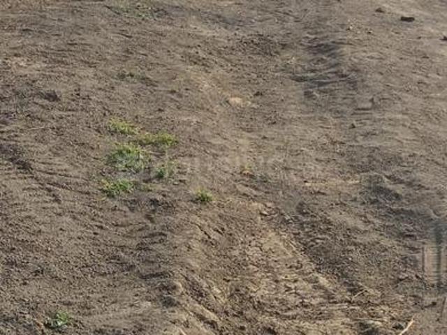 Residential Plot in Dhan Khedi for resale Indore. The reference number is 18992746