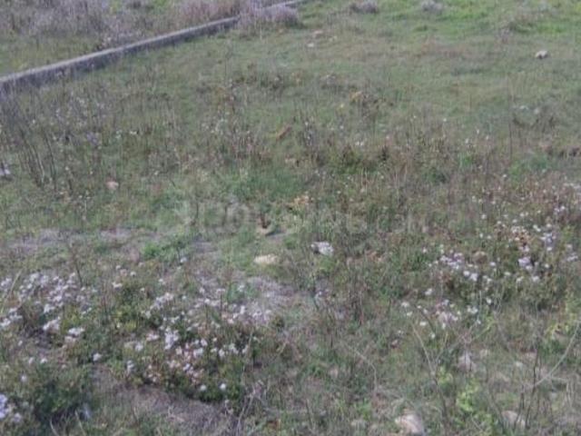 Residential Plot in Dharmawala for resale Dehradun. The reference number is 20381374