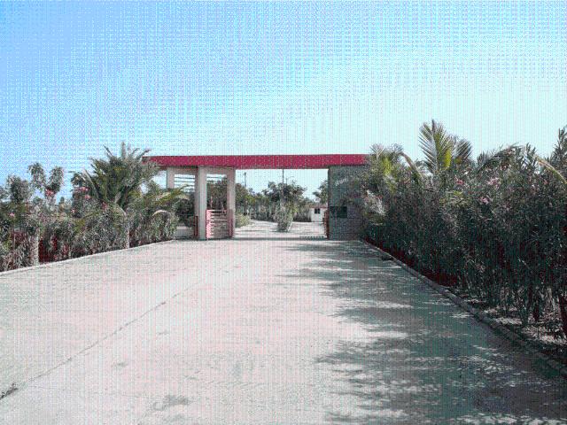 Residential Plot in Dhingda for resale Ahmedabad. The reference number is 19754504