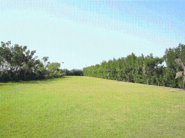 Residential Plot in Dhingda for resale Ahmedabad. The reference number is 19754592