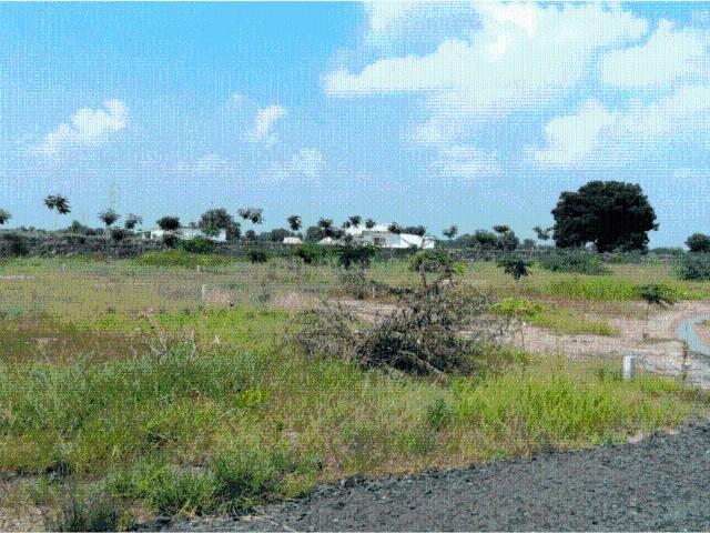 Residential Plot in Dhingda for resale Ahmedabad. The reference number is 19754681