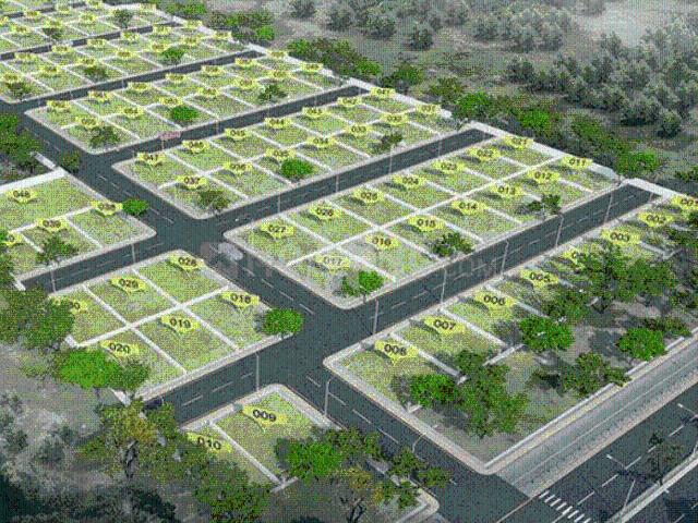 Residential Plot in Dholera for resale Ahmedabad. The reference number is 20196579