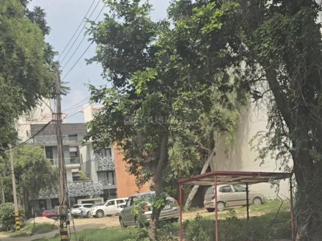 Residential Plot in DLF Phase 4 for resale Gurgaon. The reference number is 18580215