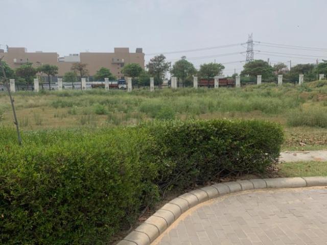 Residential Plot in DLF Phase 1 for resale Gurgaon. The reference number is 13867478