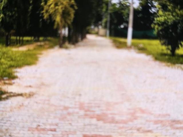 Residential Plot in DLF Phase 1 for resale Gurgaon. The reference number is 19901316