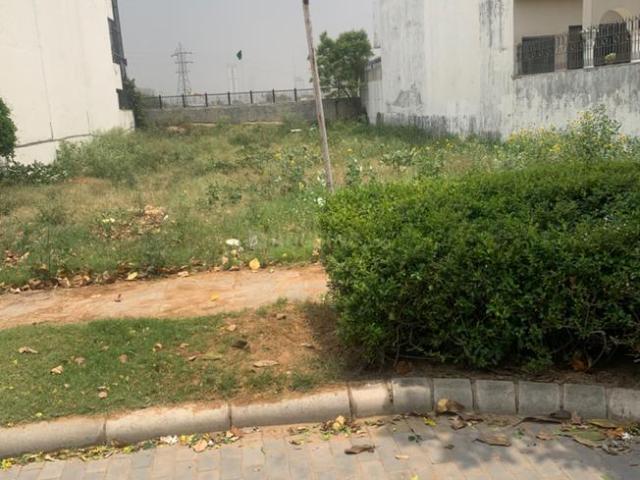 Residential Plot in DLF Phase 2 for resale Gurgaon. The reference number is 12403932