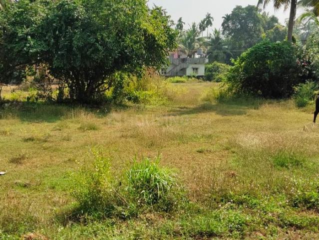 Residential Plot in Doddanagudde for resale Udupi. The reference number is 12786138