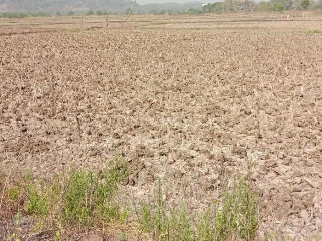 Residential Plot in Dronagiri for resale Navi Mumbai. The reference number is 18448008
