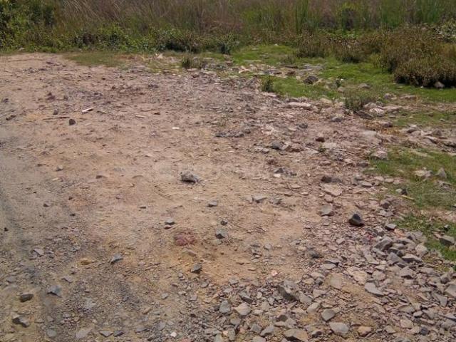 Residential Plot in East Kolkata Township for resale Kolkata. The reference number is 18366227