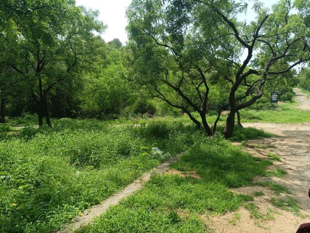 Residential Plot in East Marredpally for resale Secunderabad. The reference number is 17961165