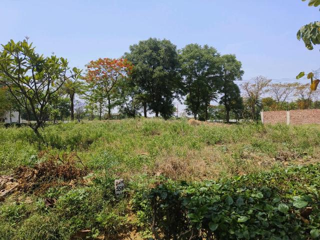 Residential Plot in Farukh Nagar for resale Gurgaon. The reference number is 18340814