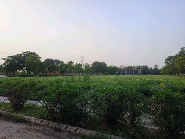 Residential Plot in Farukh Nagar for resale Gurgaon. The reference number is 20702037