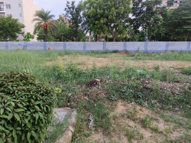 Residential Plot in Farukh Nagar for resale Gurgaon. The reference number is 20702118