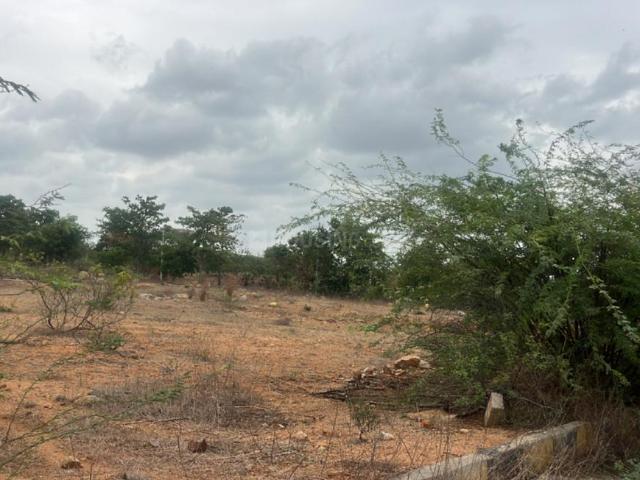 Residential Plot in Gudur for resale Yadadri Bhuvanagiri. The reference number is 20619573
