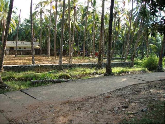 Residential Plot in Guruvayur for resale Thrissur. The reference number is 15318665