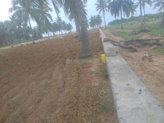 Residential Plot in Gandigundam for resale Visakhapatnam. The reference number is 15411680