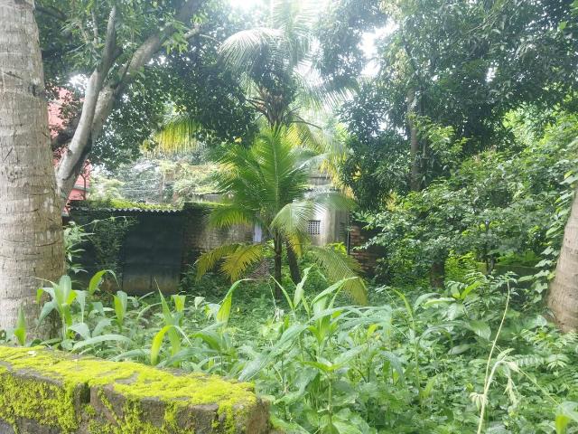 Residential Plot in Garia, Sonarpur for resale Kolkata. The reference number is 17099764